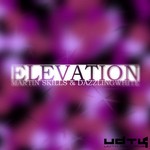 cover: Skills, Martin|Dazzling White - Elevation