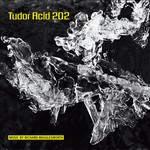 cover: Richard Wigglesworth - Tudor Acid 202