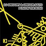 cover: Gregor Salto|DJ GREGORY - Push In The Bush