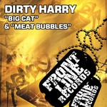 cover: Dirty Harry - Big Cat