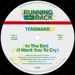 cover: Tensnake - In The End (I Want You To Cry)