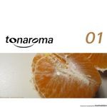 cover: Boris De Schreisalz|Lukas, Johann|Thomas Frowein - Tonaroma 001