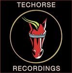 cover: Techorse - At Play