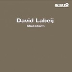 cover: David Labeij - Shakedown