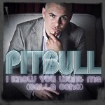 cover: Pitbull - I Know You Want Me (Calle Ocho)