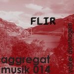 cover: Volker Dornhagen - Flir