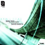 cover: David Kaseta - Mini Mal