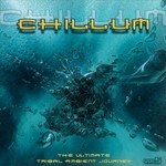 cover: Various - Chillum Vol 5: The Ultimate Tribal Ambient Journey