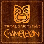 cover: Various - Tribal Spirits Volume 1