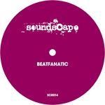 cover: Beatfanatic - Wonderful Star EP