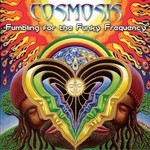 cover: Cosmosis - Fumbling For The Funky Frequency