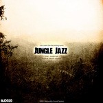 cover: D Int|Diswork - Junglejazz