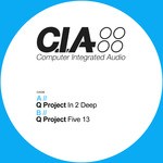 cover: Q Project - In 2 Deep/Five 13