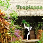 cover: Piri Piri - Tropicana