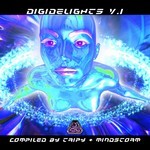 cover: Various - Digidelights - Volume 1 Compiled By Mindstorm & Tripy