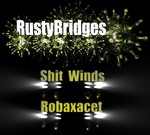 cover: Rusty Bridges - Shit Winds