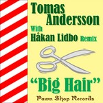 cover: Tomas Andersson - Big Hair