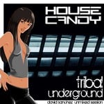 cover: Various Artists - House Candy Tribal Underground - David Sanchez Unmixed Session