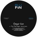 cover: Ozgur Can - Turn The Page