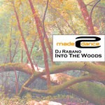 cover: Dj Rabano - Into The Woods