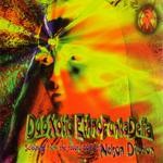 cover: Various - DubXoticEthnoFunkaDeli