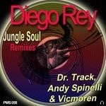 cover: Diego Rey - Jungle Soul (remixes)