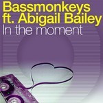 cover: Abigail Bailey|Bassmonkeys - In The Moment