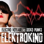 cover: Disko Punks|Electro Voyage - Elektrokind