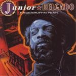 cover: Junior Delgado - Raggamuffin Year