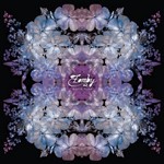 cover: Zomby - Digital Flora