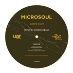 cover: Microsoul - Carpe Diem