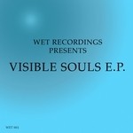 cover: Logic Fusion Orkestra|G Spice|Nickolas|Dj Feevos|Aris Kokou|Nu Larisa Soul|Nikos Diamantopoulos - Visible Souls EP