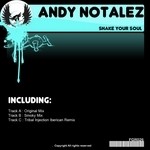 cover: Andy Notalez - Shake Your Soul