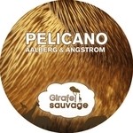 cover: Aalberg|Angstrom - Pelicano