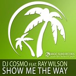 cover: Dj Cosmo|Ray Wilson - Show Me The Way