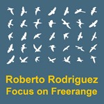 cover: Various|Roberto Rodriguez - Focus On: Freerange Roberto Rodriguez (unmixed Tracks)