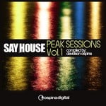 cover: Rumpfm Clemens|Davidson Ospins|Various - Say House: Peak Session Vol 1 (unmixed tracks)