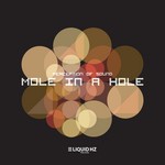 cover: Perception Of Sound - Mole In A Hole