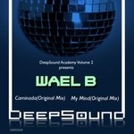 cover: Wael B - DeepSound Academy: Volume 2