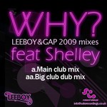 cover: Leeboy|Gap|Shelley - Why?