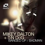 cover: Dalton, Mikey|Tin Dog - Banged Up