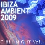 cover: Various - Ibiza Ambient 2009 (unmixed tracks)