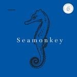 cover: Moderat - Seamonkey