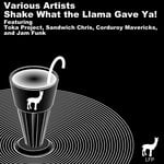 cover: Jam Funk|Mavericks, Corduroy|Sandwich Chris|Toka Project - Shake What The Llama Gave Ya!