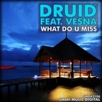 cover: Druid|Vesna - What Do U Miss