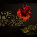 cover: Ariel - Dime Cuando (remixes)