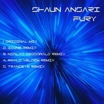 cover: Shaun Ansari - Fury