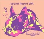 cover: Various - Groovin' High  Presents Secret Resort SPA (unmixed tracks)