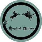 cover: Tal M Klein - Magical Horses