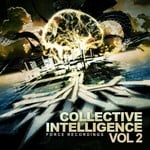 cover: Various - Collective Intelligence: Vol 2 (unmixed tracks)